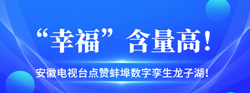 ?“幸?！焙扛?，安徽電視臺點贊蚌埠數(shù)字孿生龍子湖！